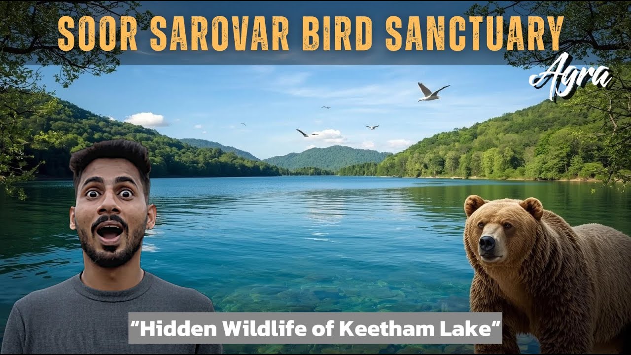 Exploring Soor Sarovar Bird Sanctuary | Keetham Jheel Hidden Gem of Agra