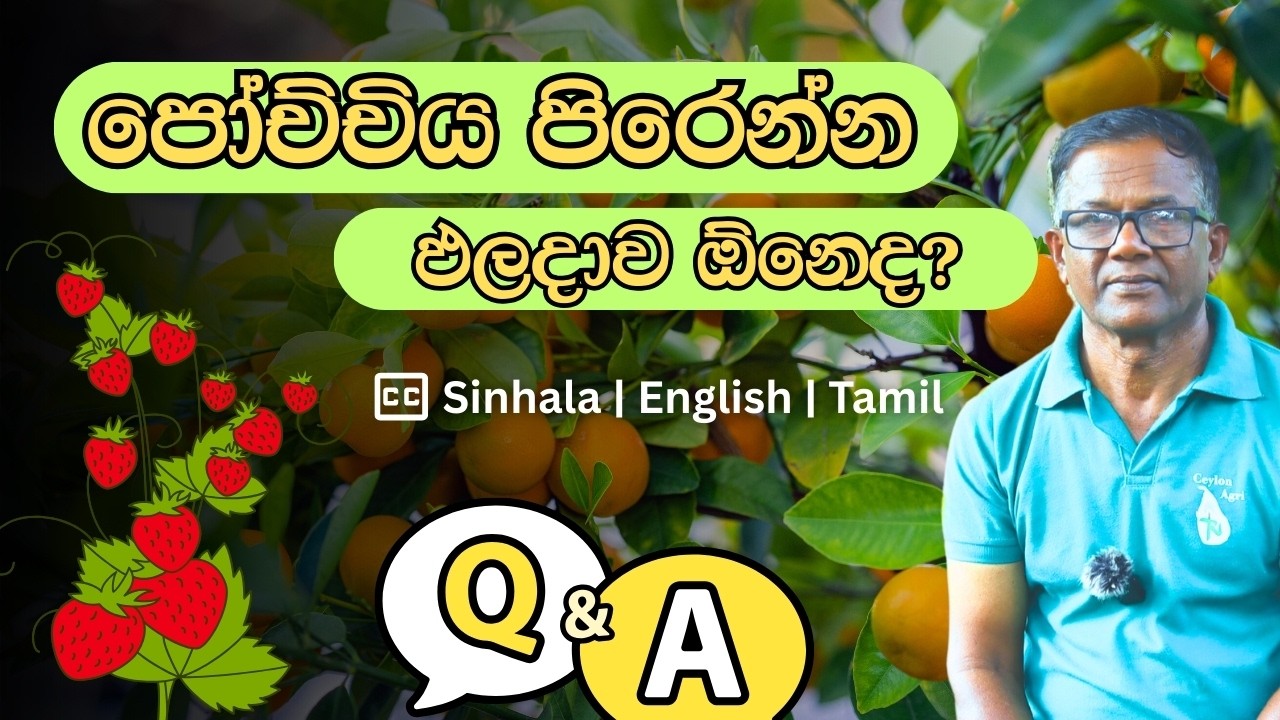 මේ විදිහට හිටෙව්වොත්නම් හැමදාම ගෙඩි | How to grow plants correctly? | CeylonAgri | Epi.461