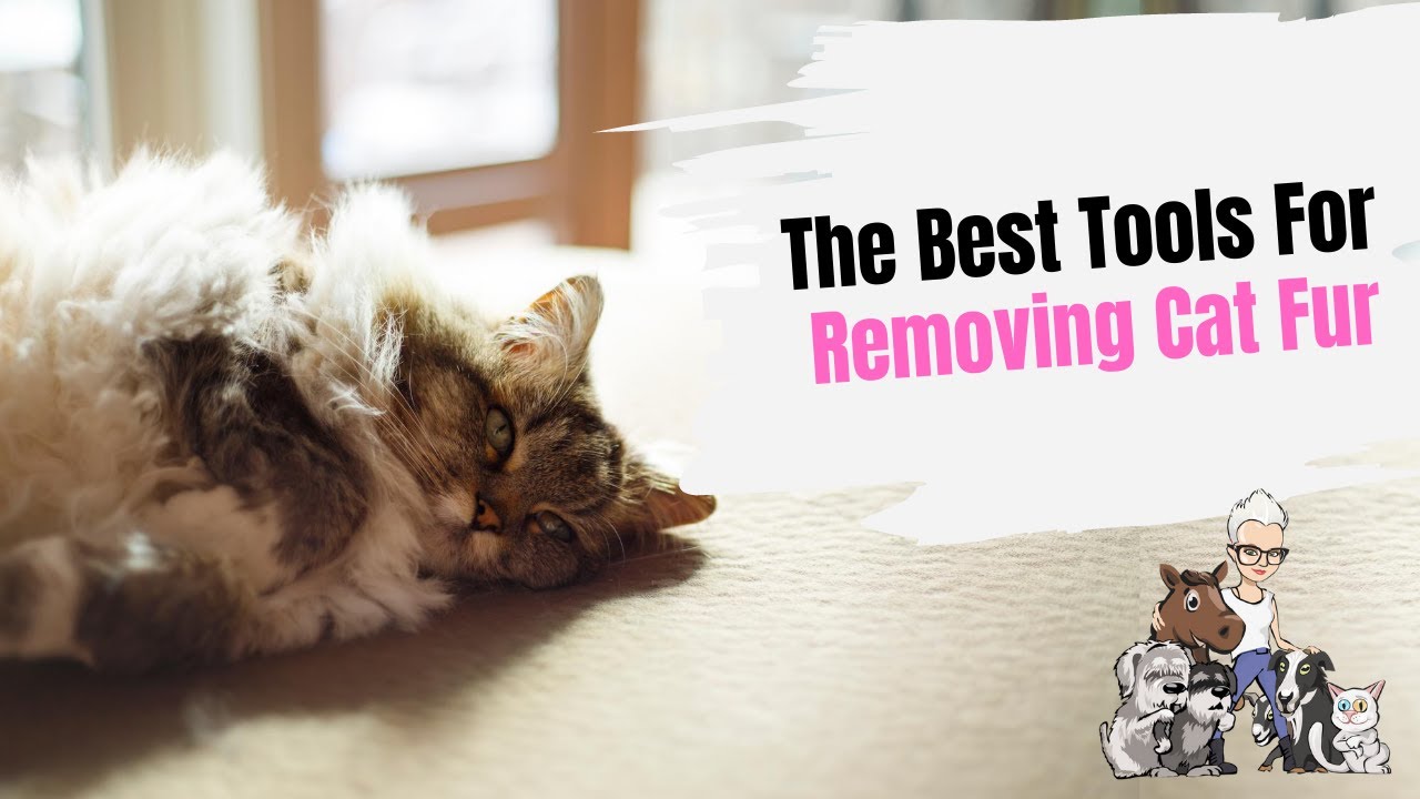 Episode 74: The Three Best Tools for Removing Cat Fur Around the House