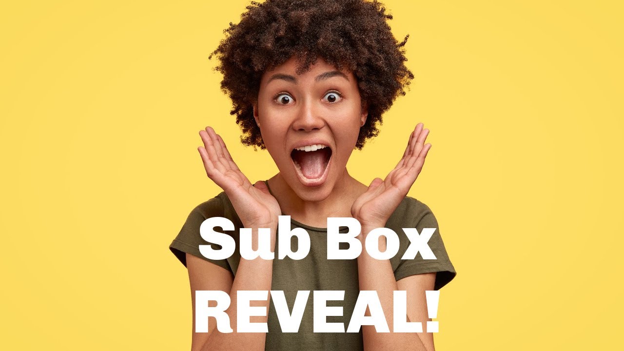 Planner Perfect Sub Box REVEAL!