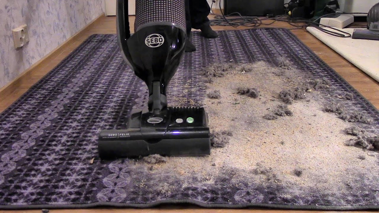 Sebo Felix Mess Test
