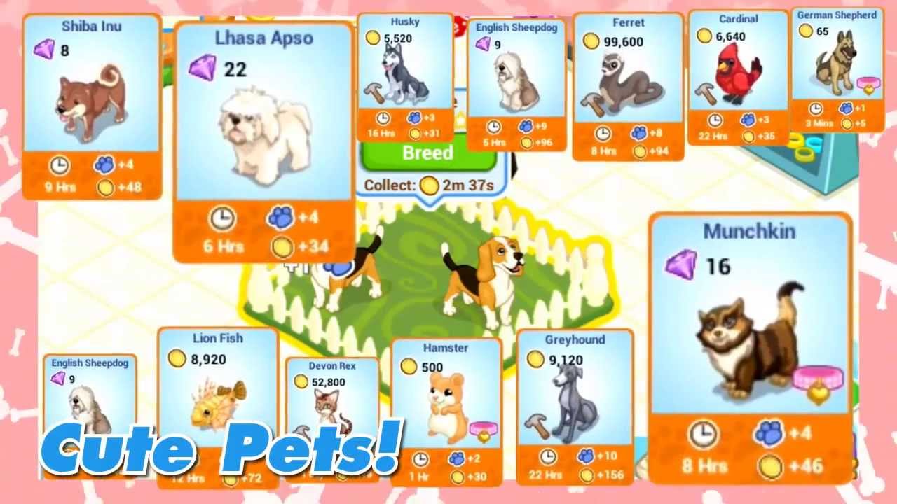 Pet Shop Story