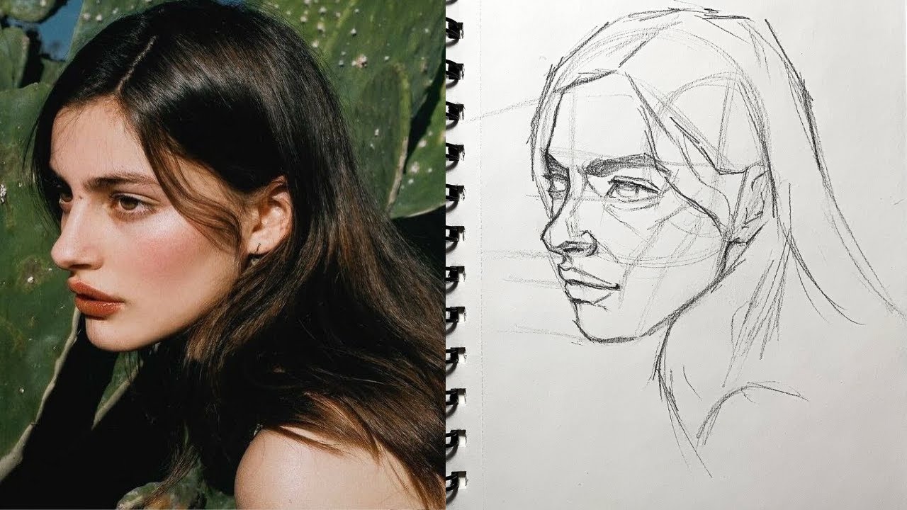 How to Draw a Portrait Using the Loomis Method