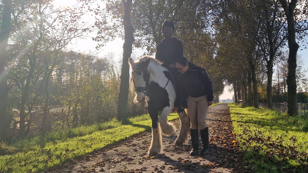 #Lifestyle vlog De Bijrijdster van meissie Sieske is er ook! #paardrijden#weekvlog Dinsdag #81