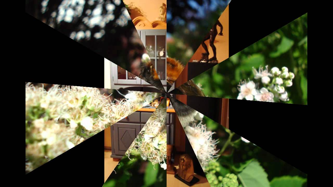 Meermelodie.. 2009 ..Ein Jahr in meinem Leben