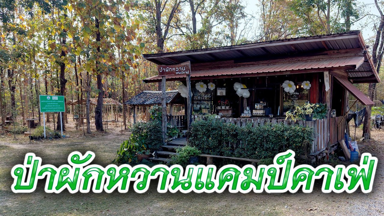 เพลง มาฮีลใจกันที่ป่าผักหวานแคมป์คาเฟ่กัน ฟาร์มเกษตรเชิงท่องเที่ยว เชื่อมต่อกับธรรมชาติและน้องแมว