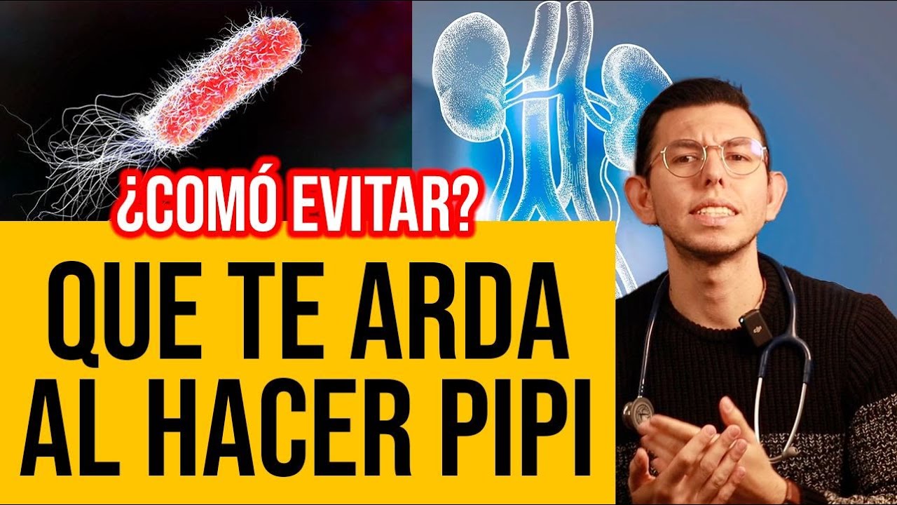 TODO sobre INFECCIONES URINARIAS | DrPoloGuerrero