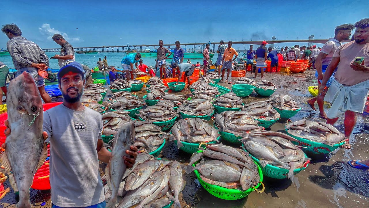 FINALLY☹️ ONE DAY FISHING OVER‼️ |WE CAUGHT🤔 ₹4LAKHS WORTH FISH | 💰SALE IN MERCHANT😎