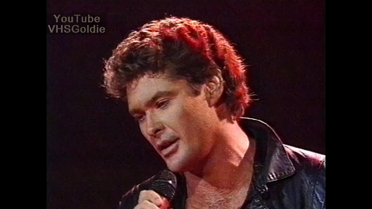 David Hasselhoff - Flying on the Wings of Tenderness - 1989