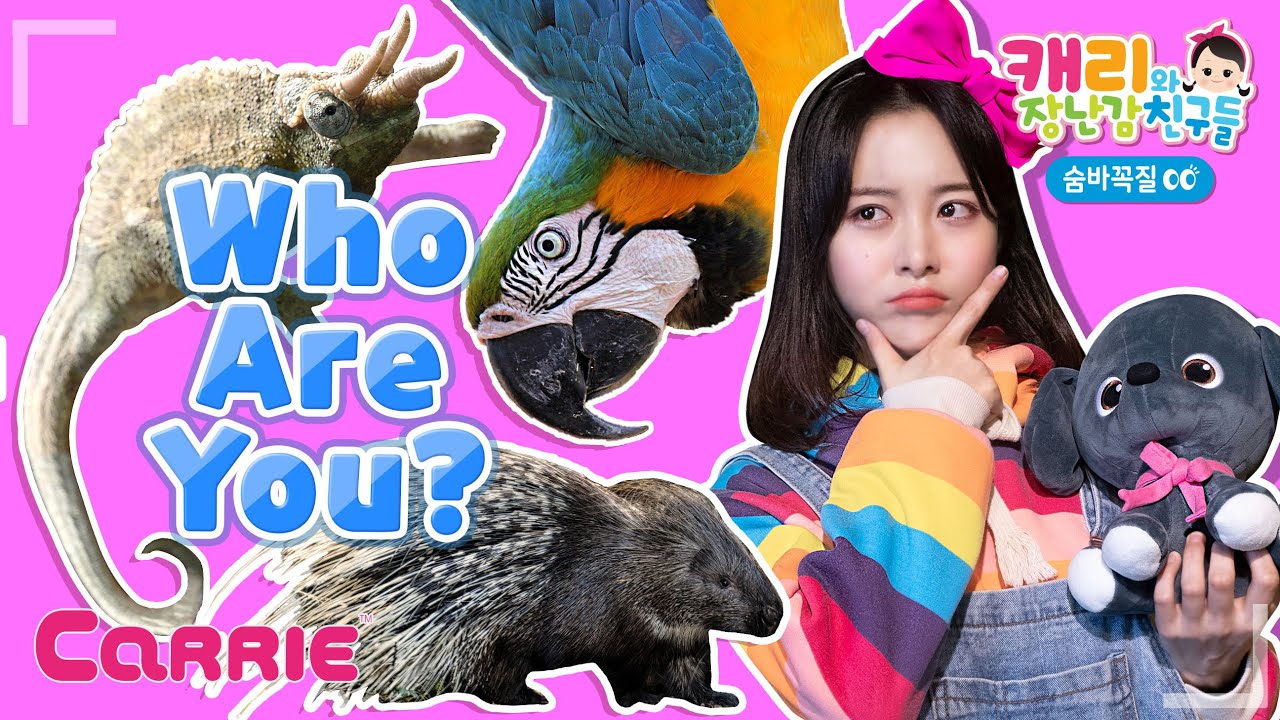 동물과 곤충 그림자 카드 속 동물 찾기 | 숨바꼭질 | 캐리와장난감친구들