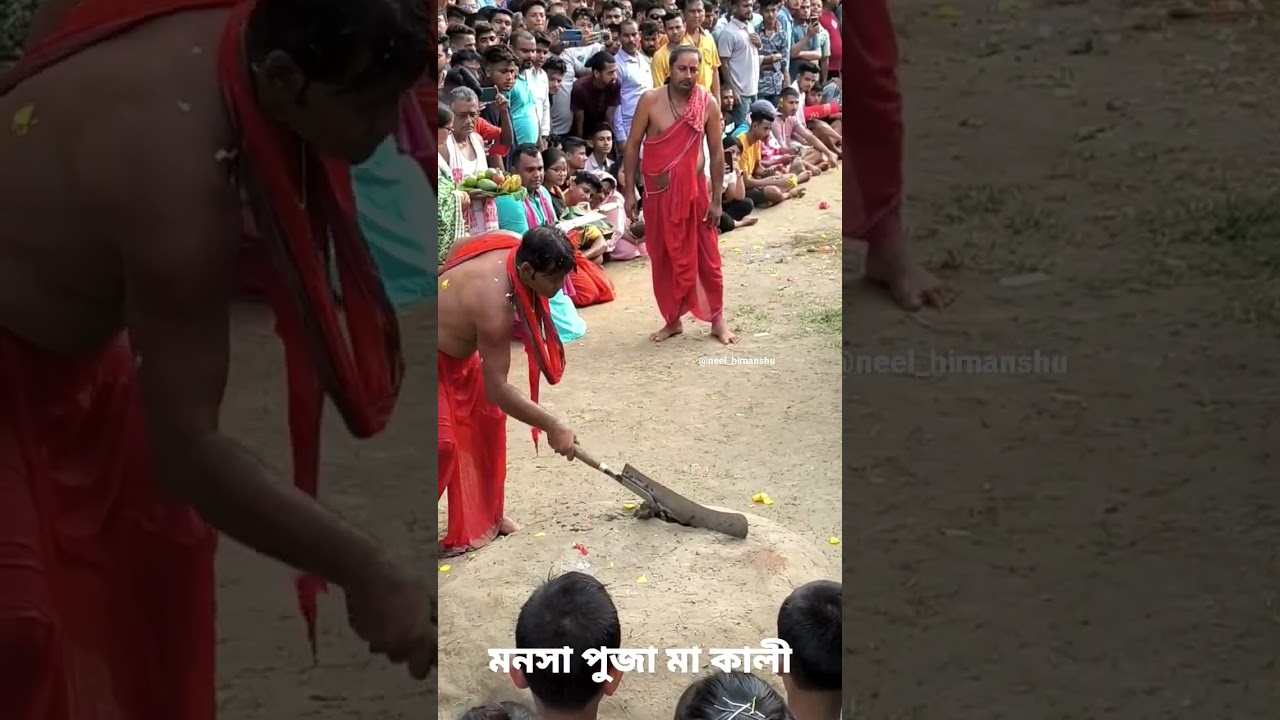 PACHARIA MANASHA PUJA Kali Maa #shorts #puja