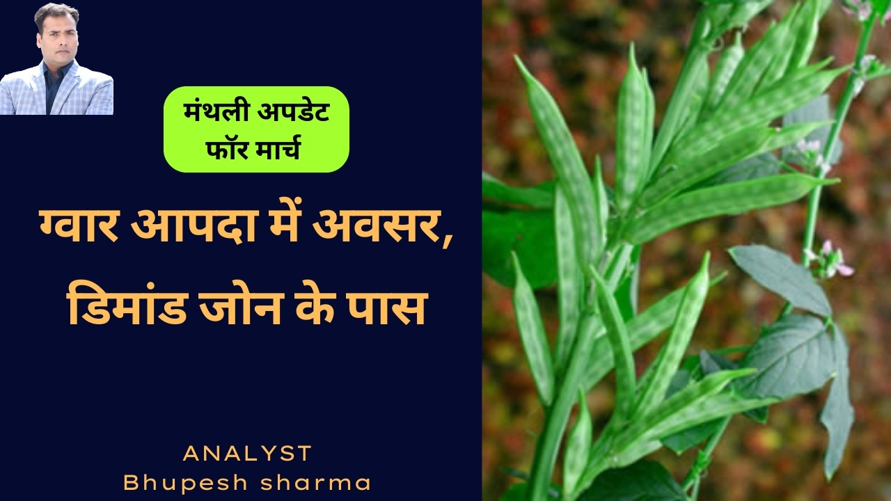 Guar Seed: आपदा में अवसर | March month update | #guarseed