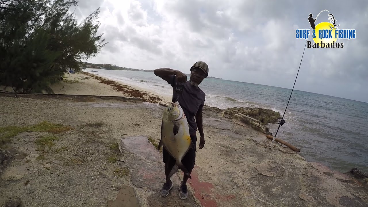 South Coast Hand Line Fish Killer Strikes Again / Surf & Rock Fishing Crew Go Offshore