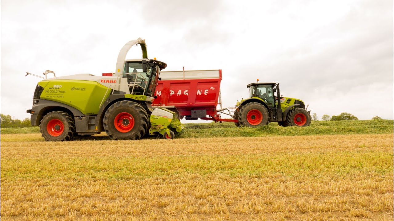 Ensilage de seigle | Claas Jaguar 950 | SNC Didelot frères