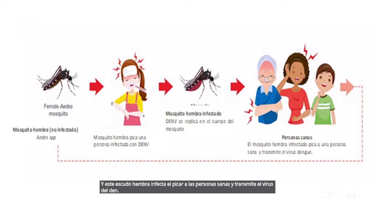 PREVENCION DEL DENGUE