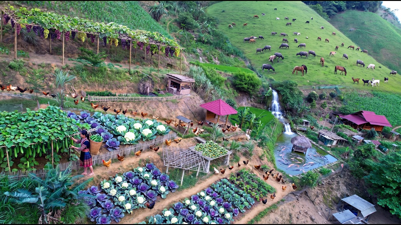 Alone on the Mountain&hellip;Harvesting Huge Crops from a Thriving Farm & Selling at Market | Off-Grid Life