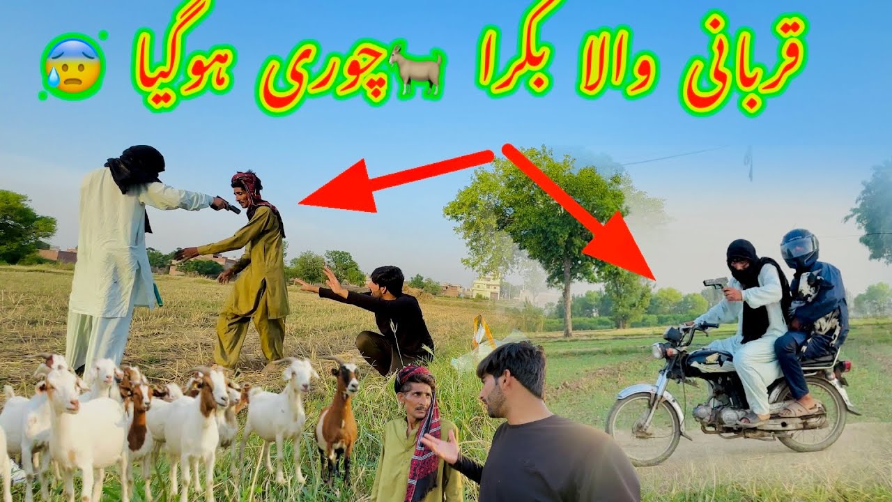 Bakra Chori Ho Gaya 😰Qurbani Ka Bakra Chori || PART #1