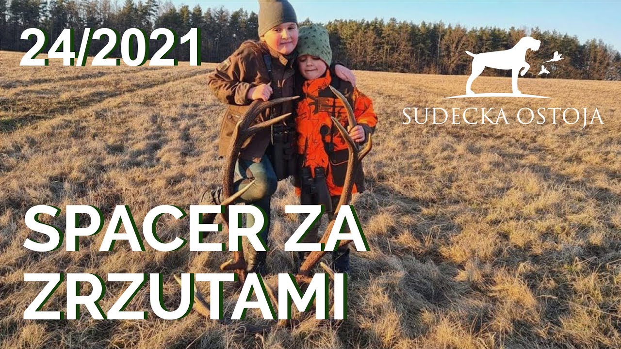 Sudecka Ostoja 24/2021. Wiosenny spacer po łowisku za zrzutami z dzieciakami :)