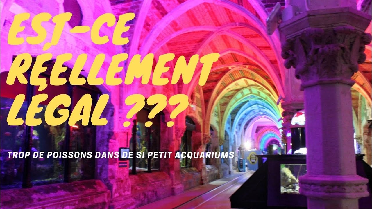 LE + VIELLE AQUARIUM DU MONDE