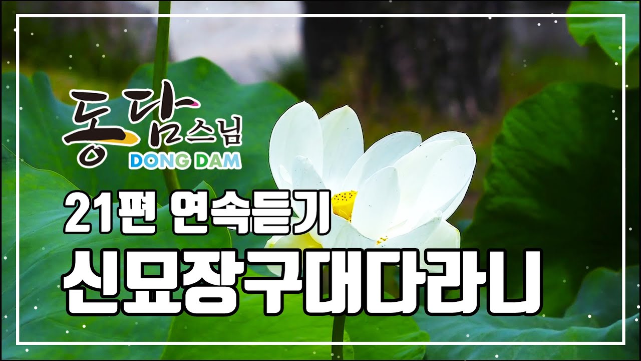 신묘장구대다라니 (21편 연속듣기) 동담스님 (불모사)