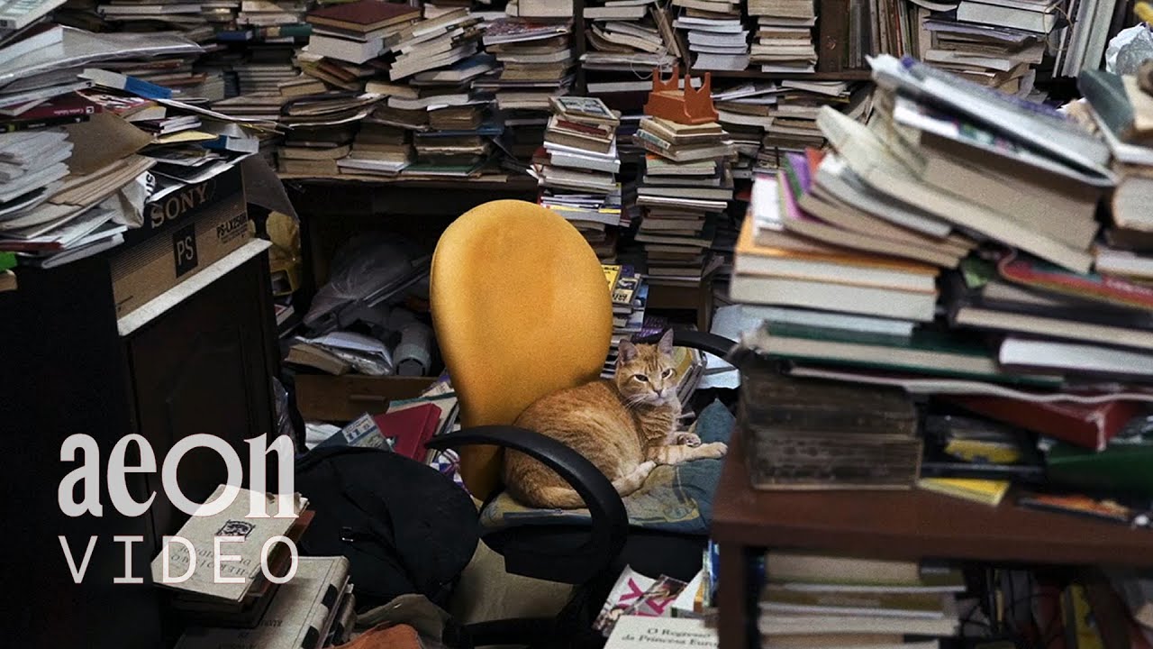 The spectacular clutter of a secondhand bookshop | Adeus aos Livros (Goodbye to Books)