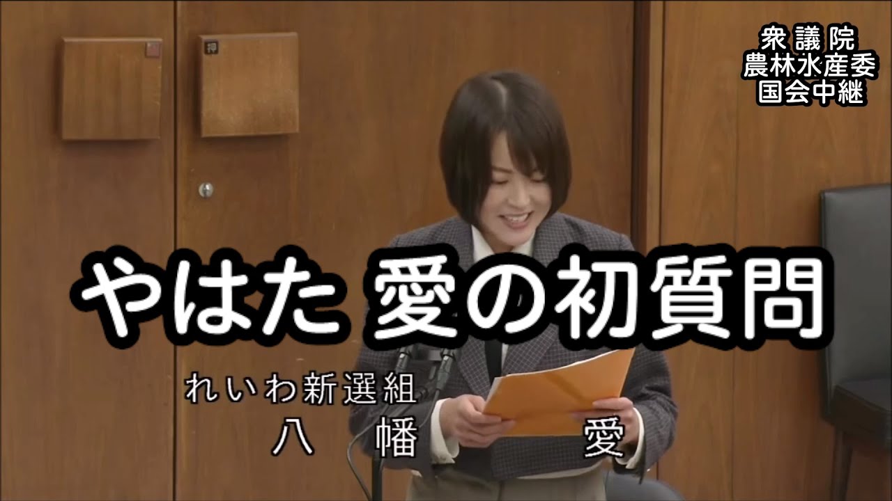 【国会中継録画】やはた愛 厚生労働委員会 初質問（2024/12/18）