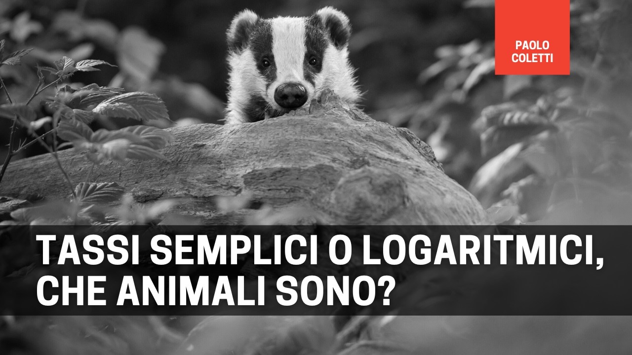 Rendimento semplice, rendimento logaritmico e come convertire