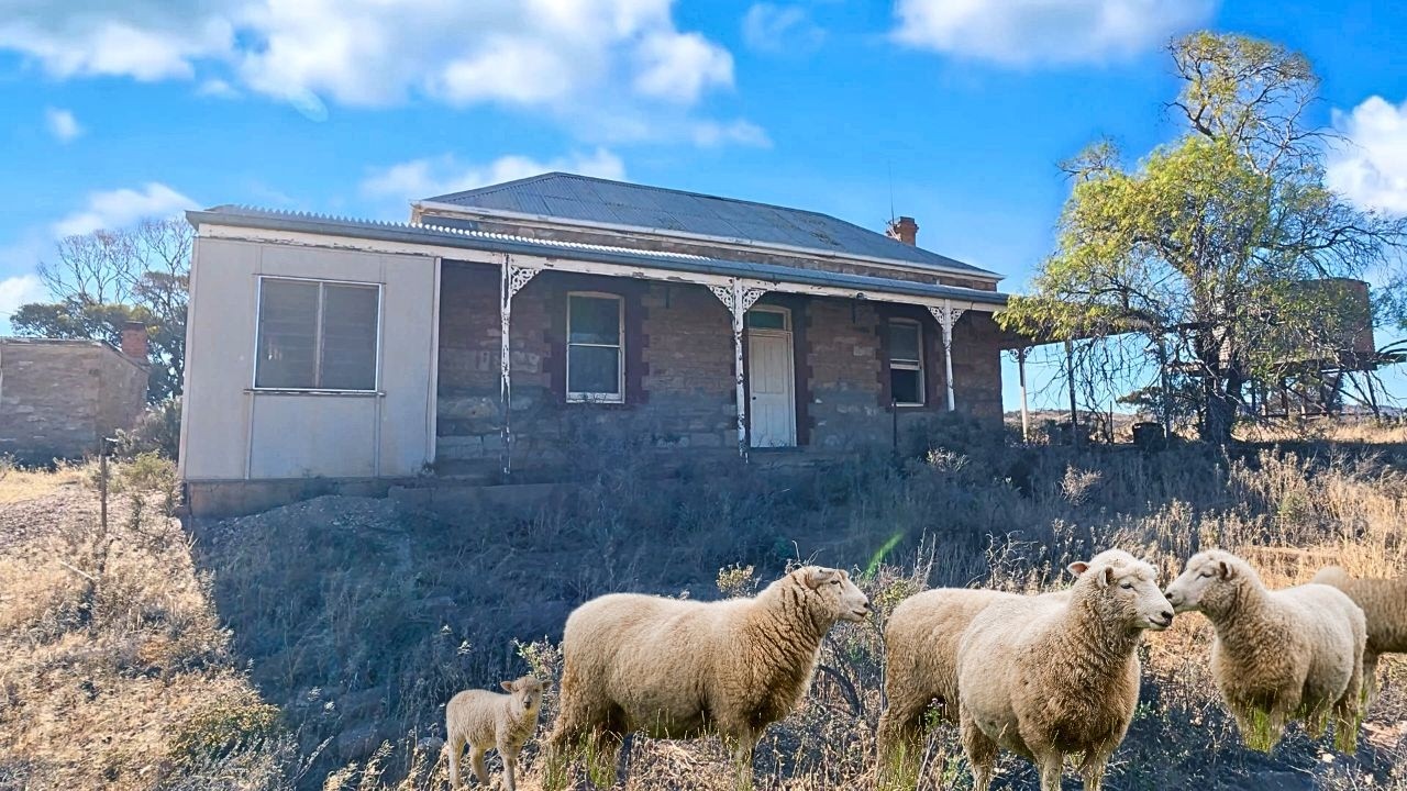 Abandoned In The Outback A Desolate Sheep Station In Ruins