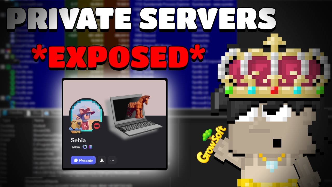 Почему некоторые частные серверы Growtopia опасны