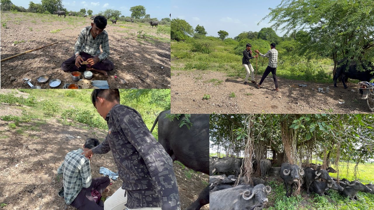 આજે તો જમવા તાણે બાકા જીકી બોલી ગઈ 😂😆