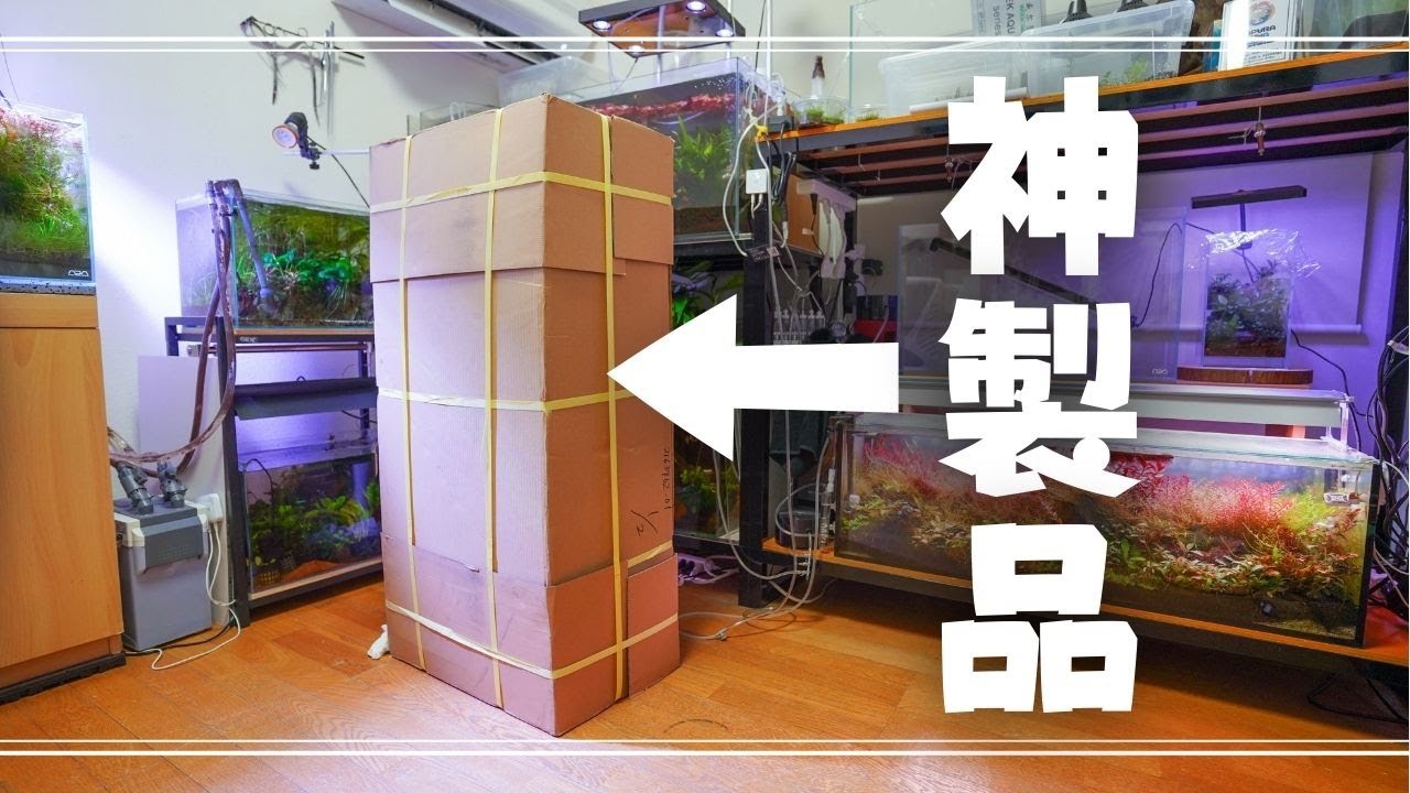 間違いなく今年のベストバイ【アクアリウム】