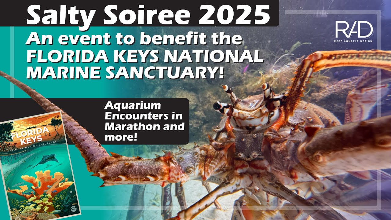 REEF AQUARIA DESIGN, COMPROMISED WITH PRESERVATION OF THE FLORIDA KEYS NATIONAL MARINE SANTUARY.