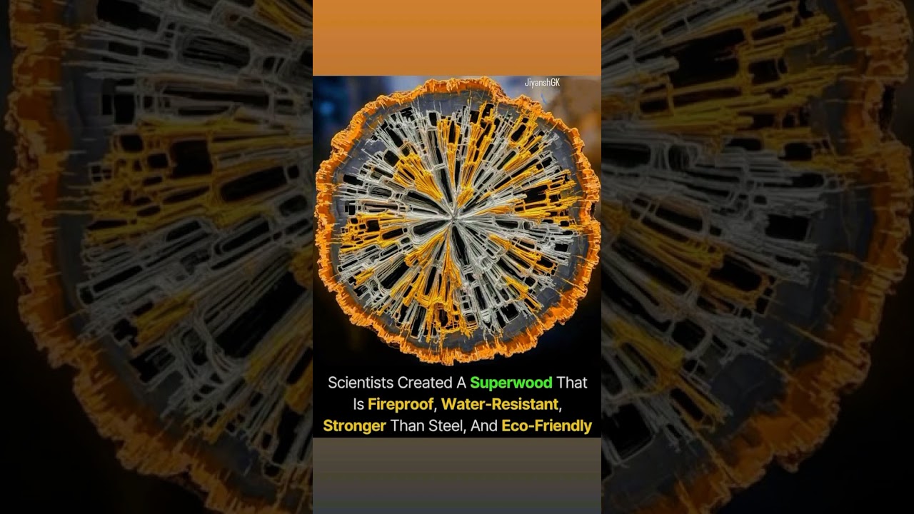 Scientists created a Superwood that is #fireproof #waterresistant #stronger #ecofriendly.