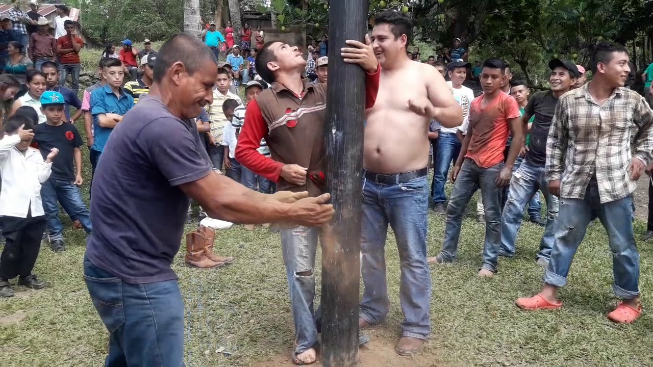 Palo Encebado en Copan Honduras