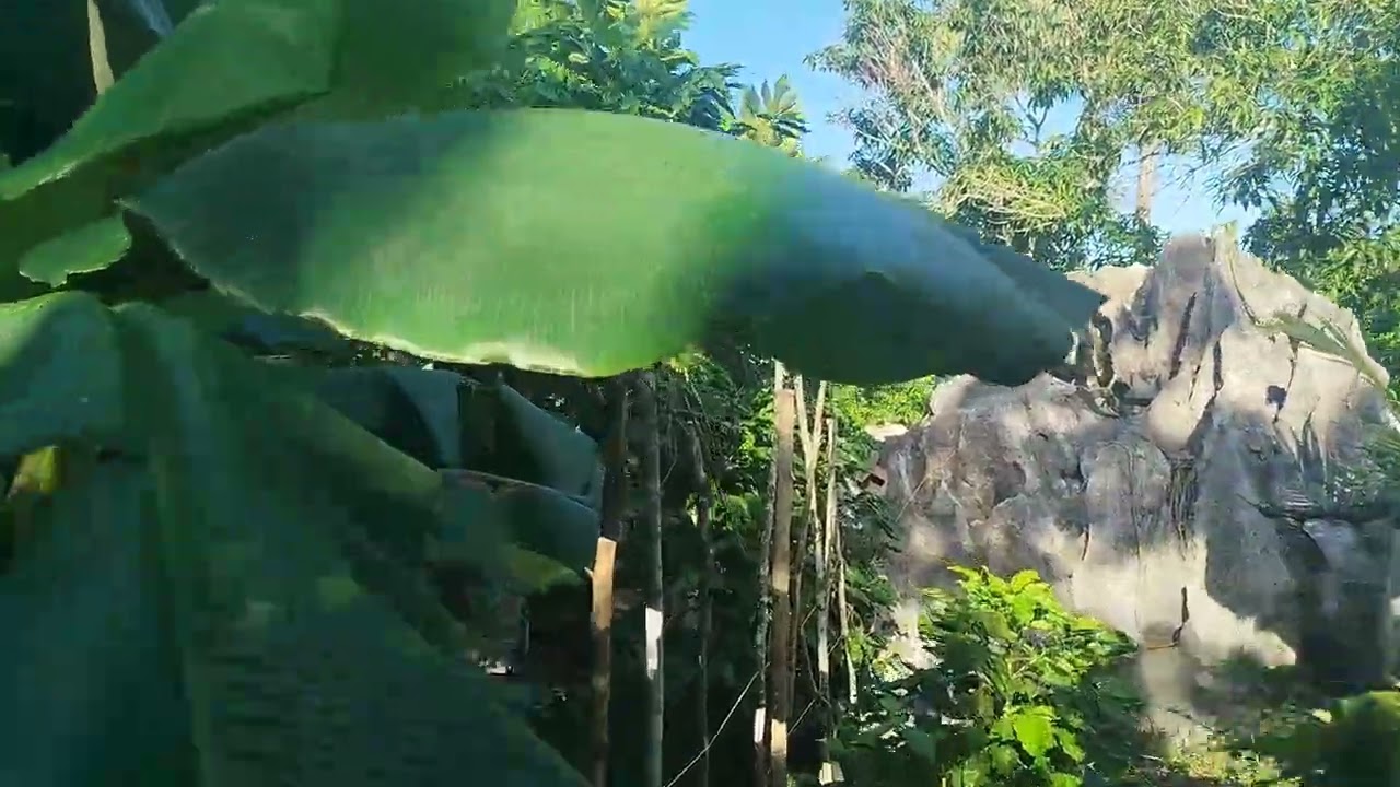 CASA PARTICULAR "CAMPO ALEGRE" à VIÑALES 