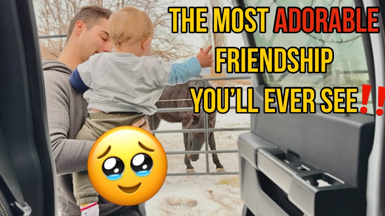 From Before He Was Even BORN To 1 Year Old - His Horse Has Never Left His Side 🥹