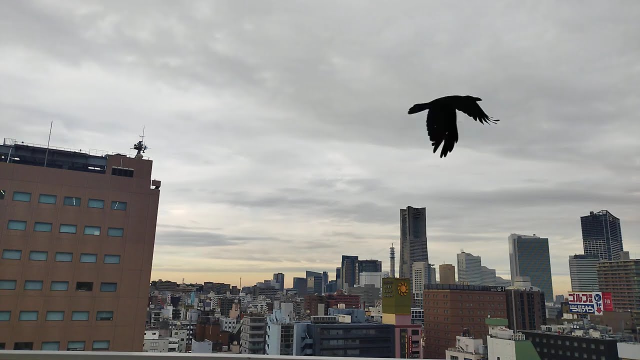 【タイムラプス】延々と雲が流れる、ランドマークタワーの遠景 2025年1月下旬(10)