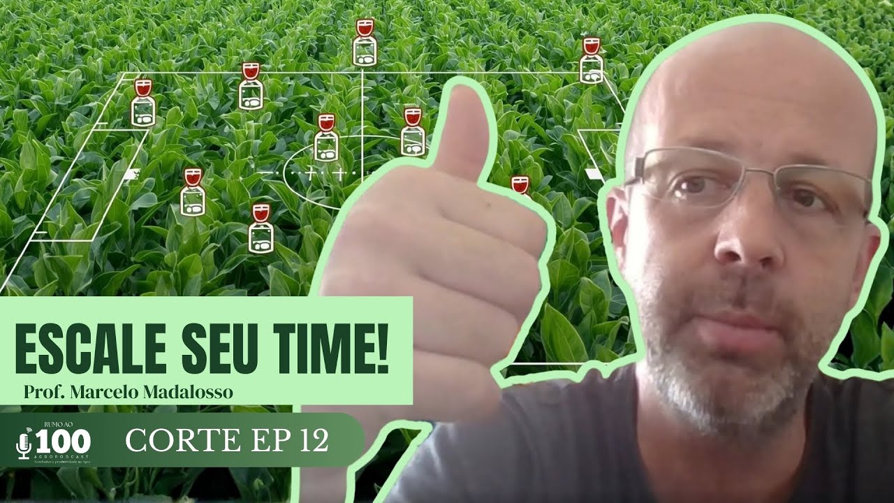 Como montar o Programa de Fungicidas na Soja? (A 