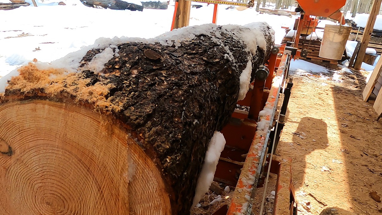 Frozen Fir on the Sawmill