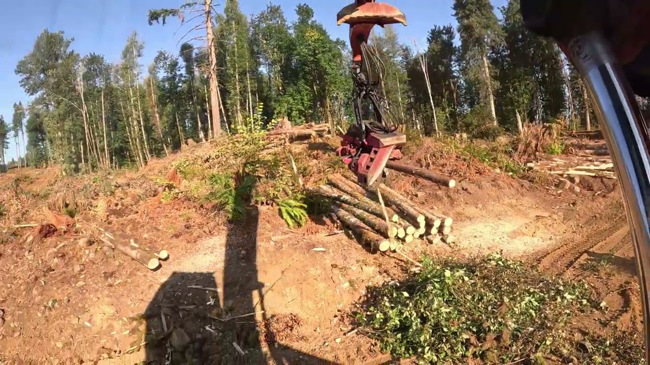 Roadside processing with the 4040 linkbelt