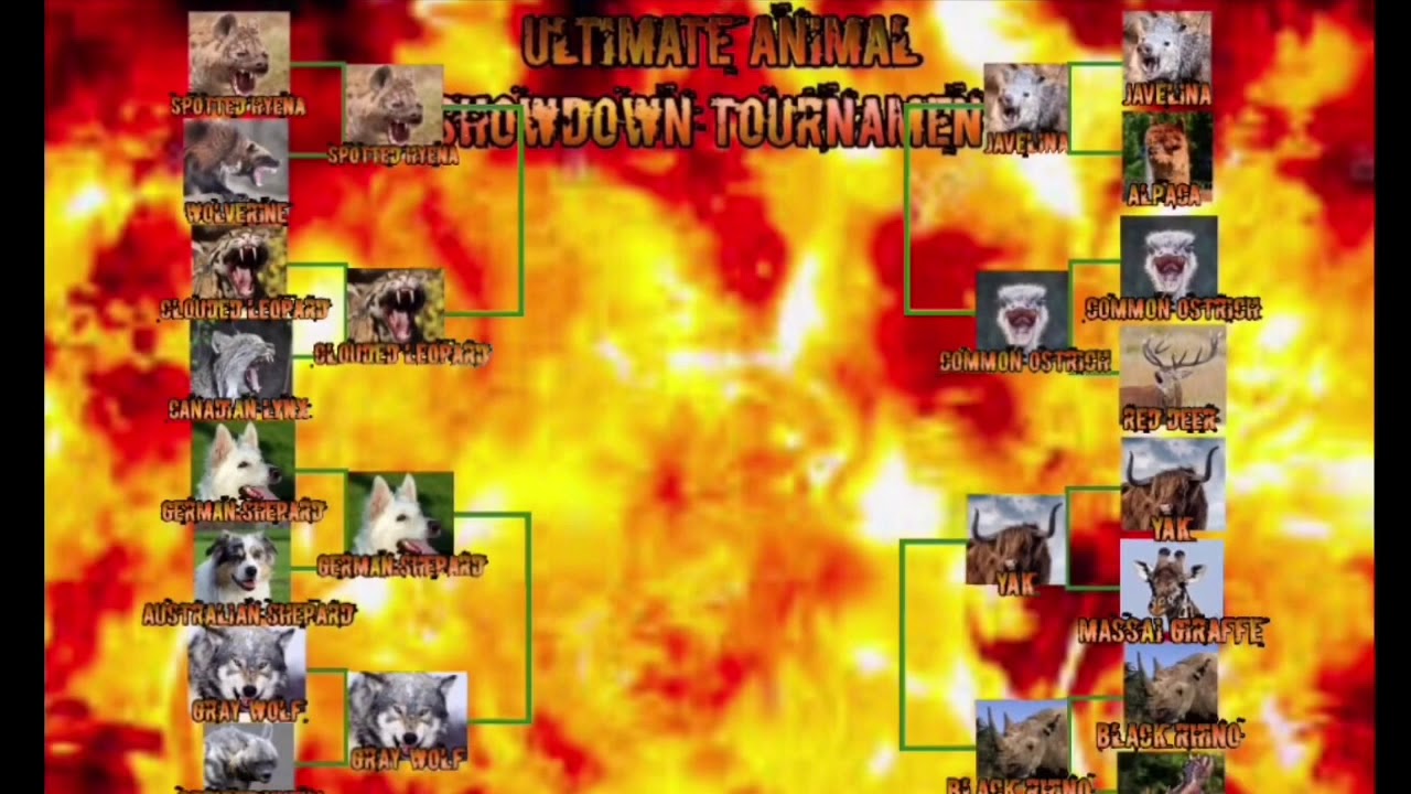 Ultimate Animal Showdown Tournament - Arena 2: Forest!