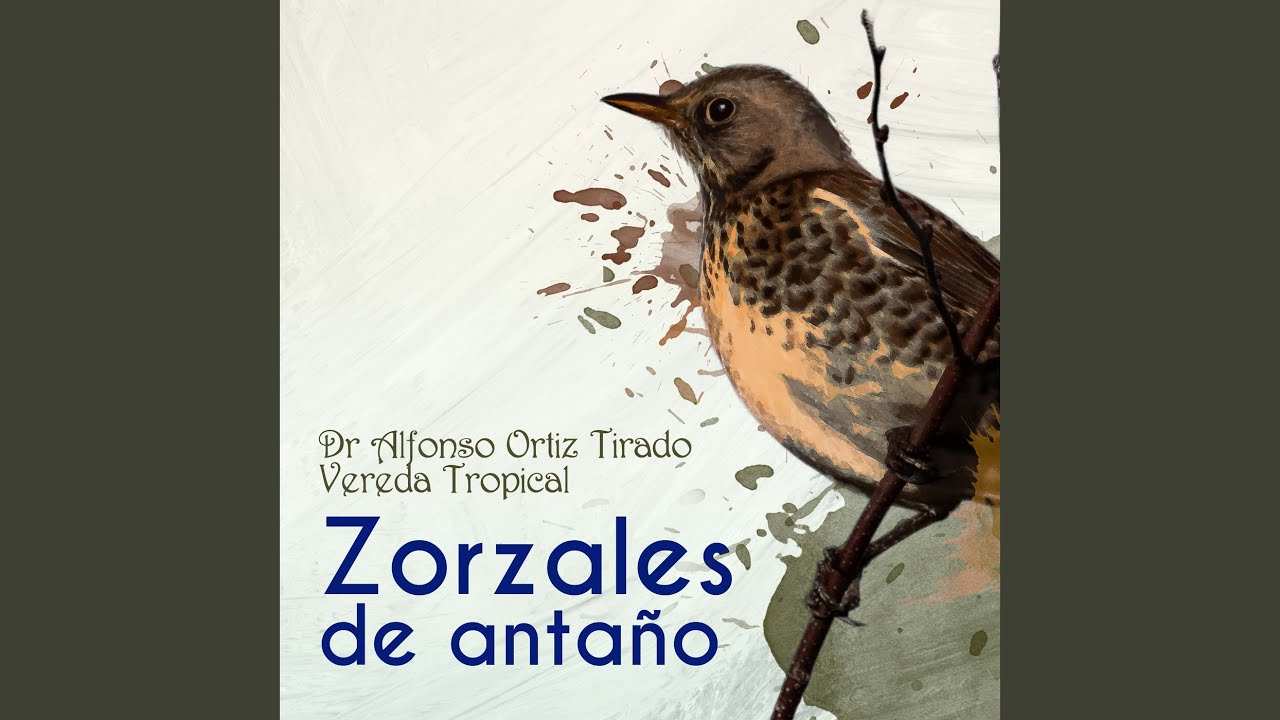 Ven Acá Gitana