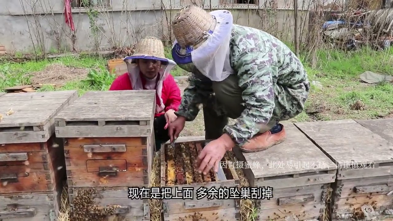 如何在成千上万只蜜蜂里、一眼找出蜂王？看蜂妹想了什么好办法？#养蜂人 #纯天然无添加 #原生态乡村生活 #养蜂
