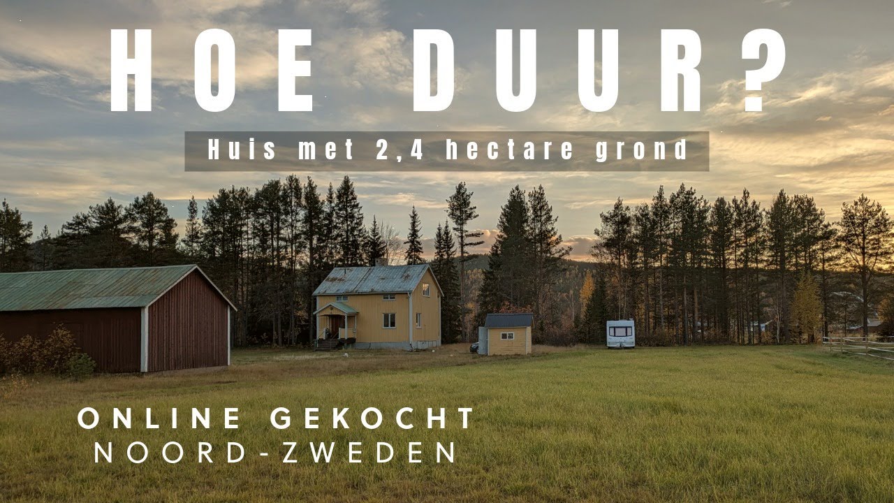 Hoe Wij een Huis in Noord-Zweden Kochten ZONDER Het Te Zien | Onze Droom komt Uit!