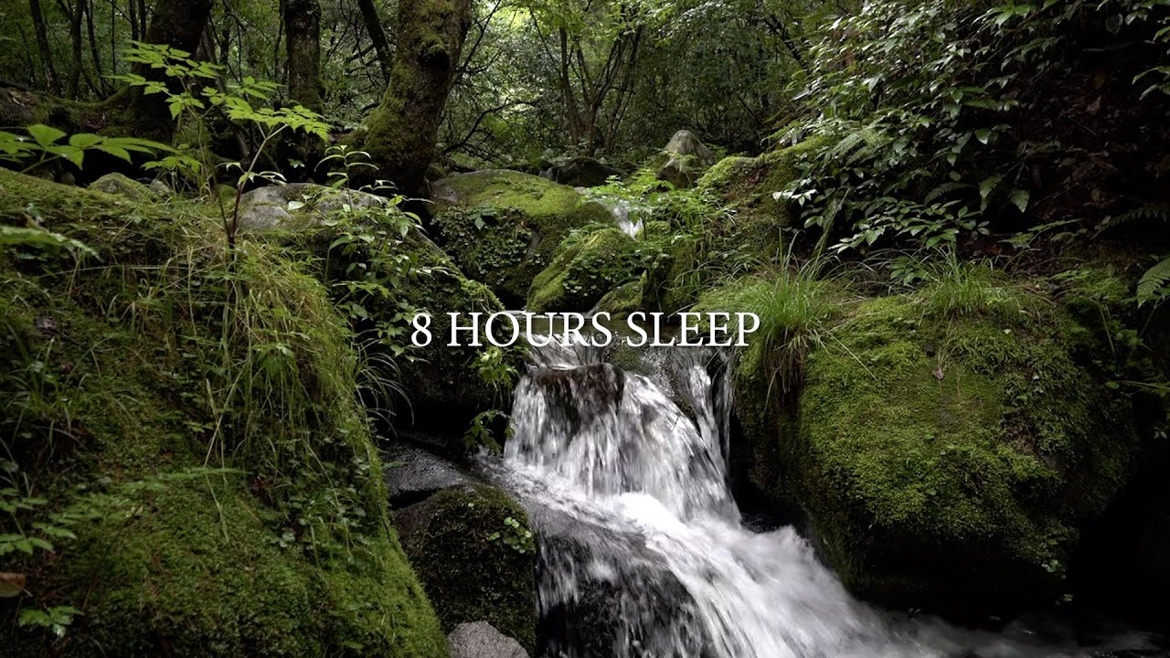 8 Hours Flowing Water & Gentle Rain Sounds 🌧️ | Deep Sleep All Night