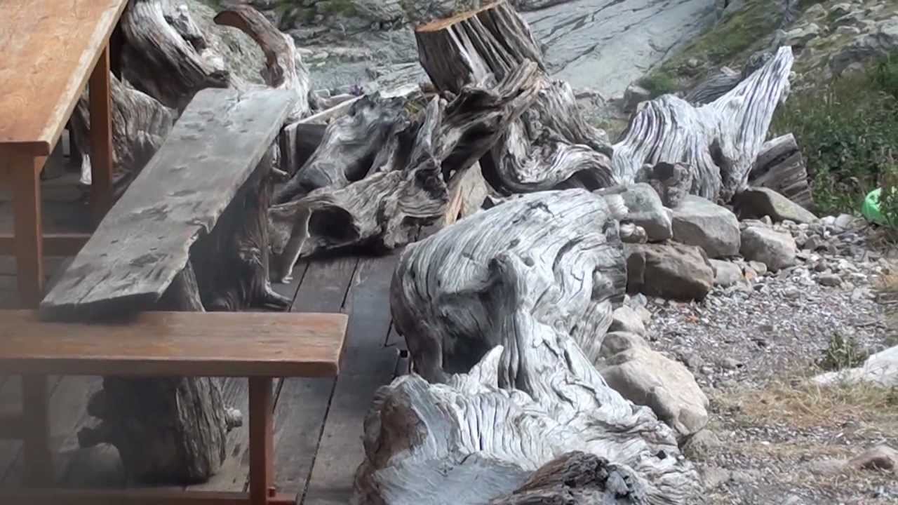 Hermines au refuge de l'Estrop