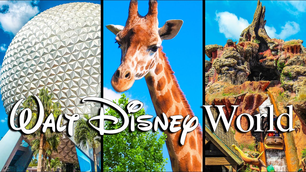 Top 10 Longest Disney World Rides