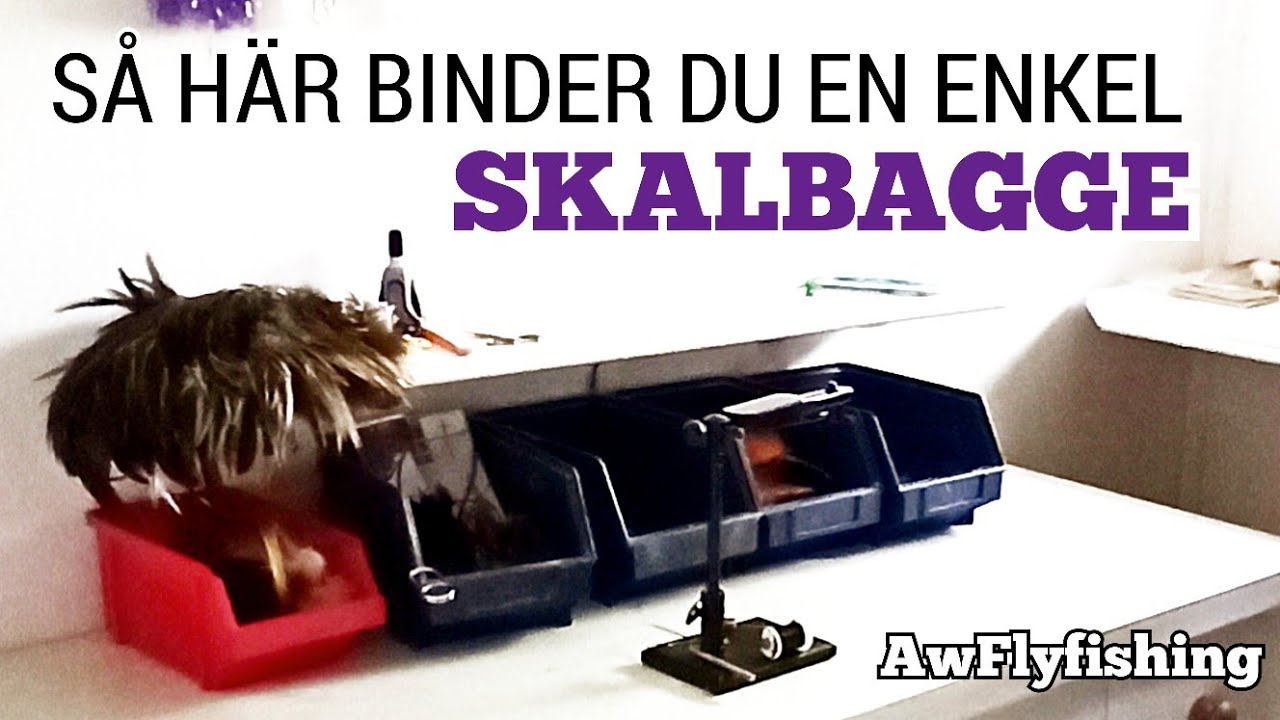 FLUGBINDNING FÖR NYBÖRJARE - SKALBAGGE