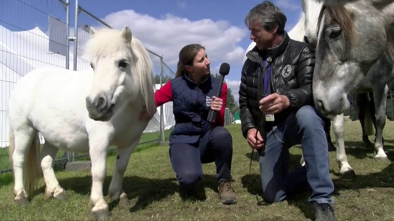 Jean Francois Pignon at the Royal Windor Horse Show