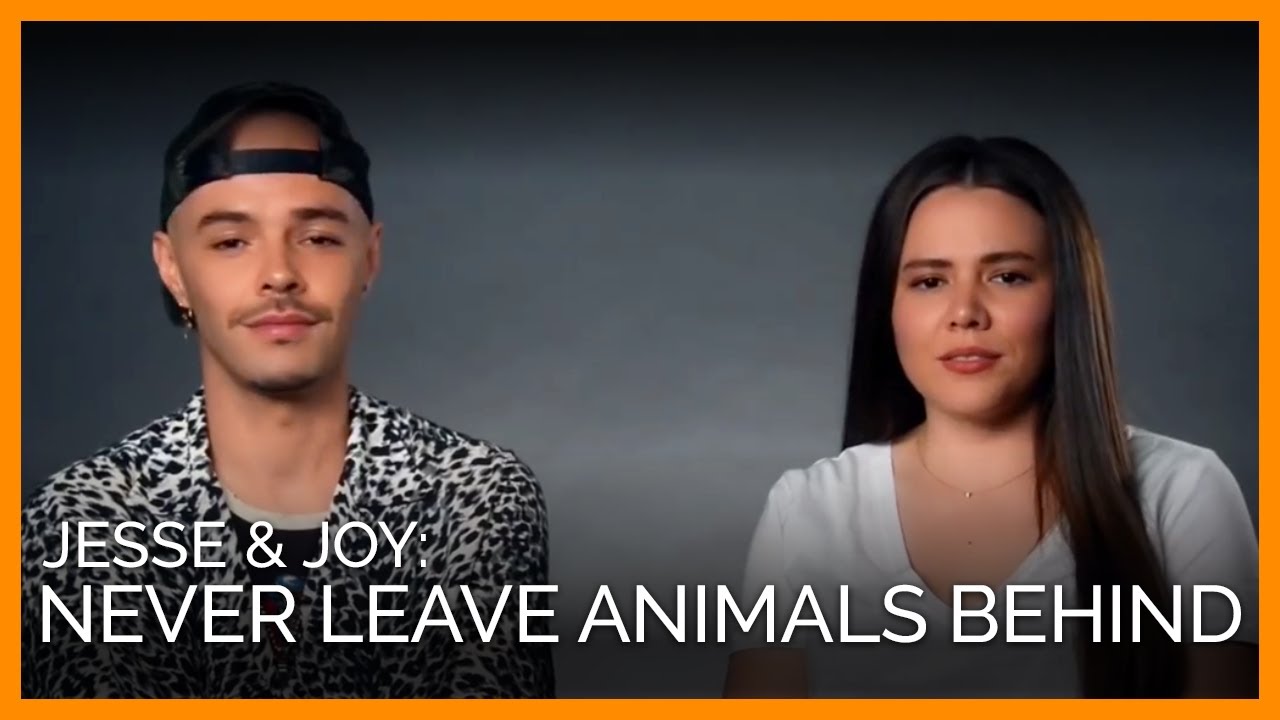 Jesse & Joy: Never Leave Animals Behind in a Natural Disaster
